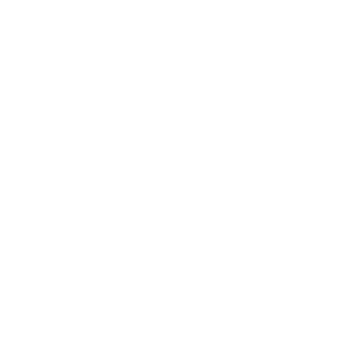 Data Integrity
